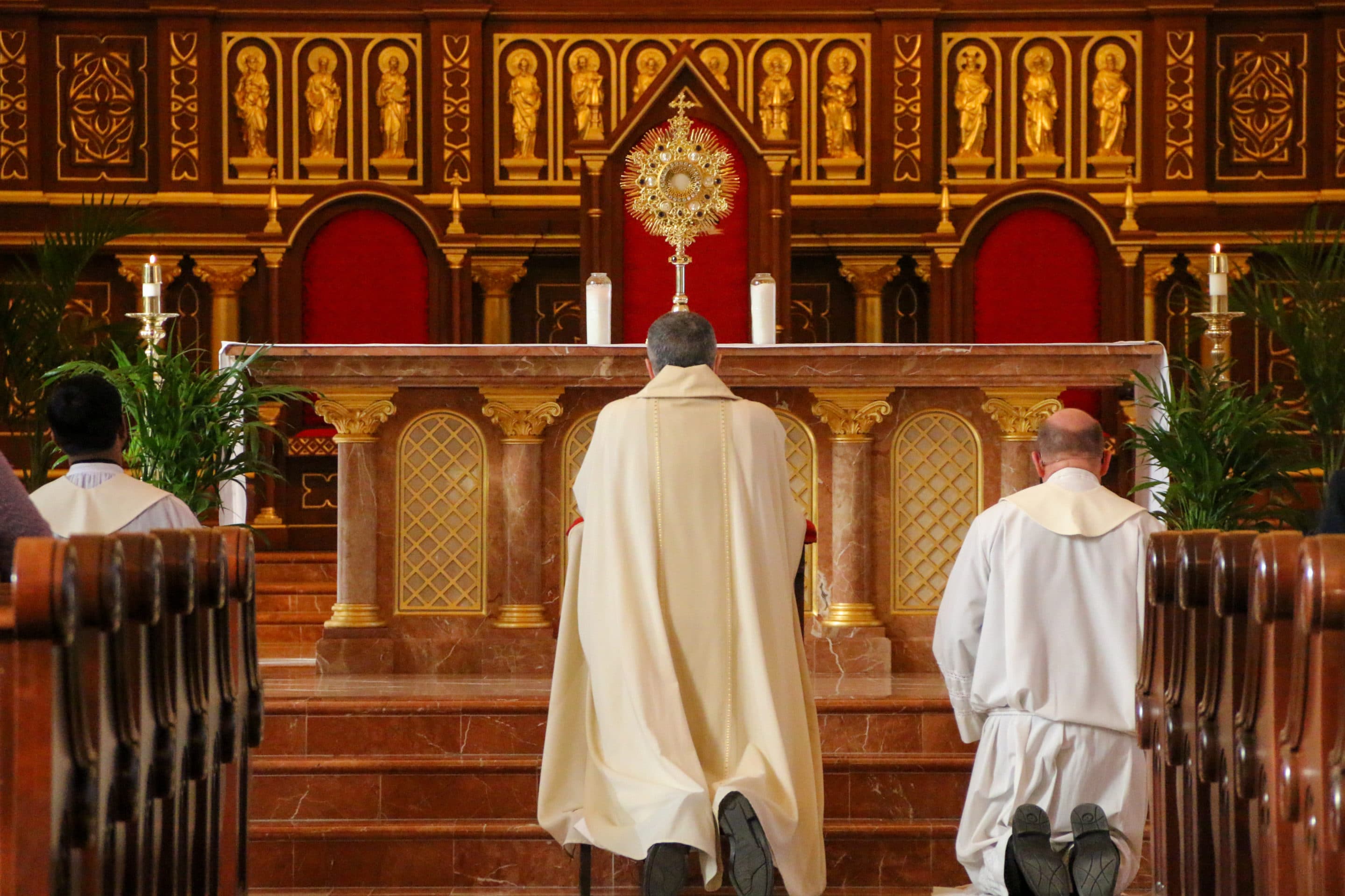 Fr. Stephen Van Lal Than