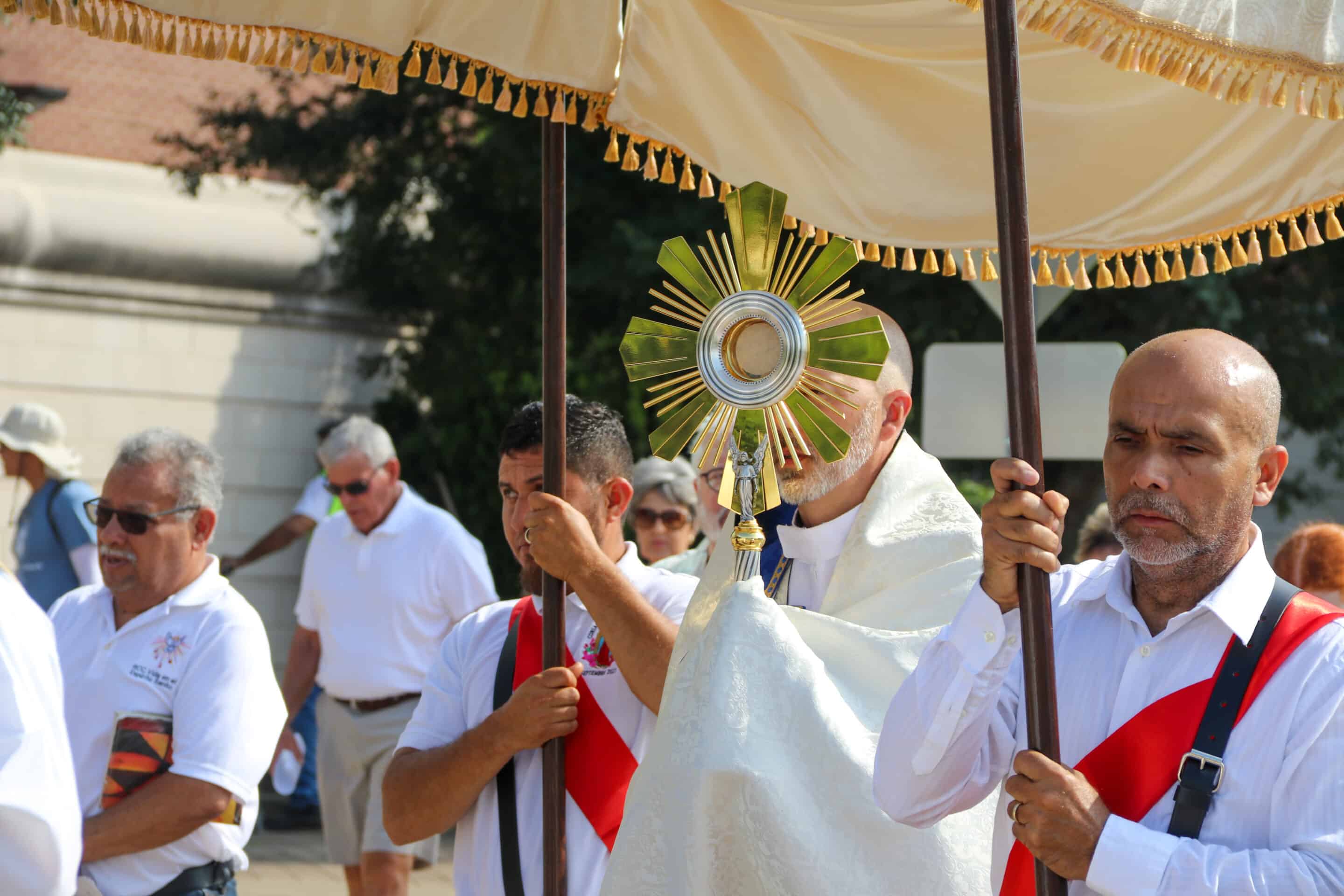 Fr. Stephen Van Lal Than